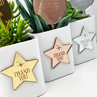 Superstar Mirror Planter Stem & Star (3 colours)