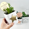 Superstar Mirror Planter Stem & Star (3 colours)