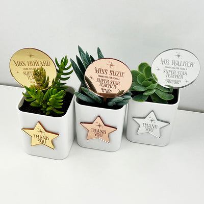 Superstar Mirror Planter Stem & Star (3 colours)