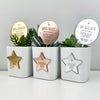 Superstar Mirror Planter Stem & Star (3 colours)