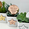 Superstar Mirror Planter Stem & Star (3 colours)