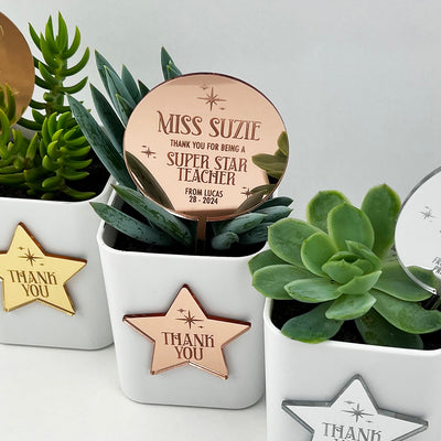 Superstar Mirror Planter Stem & Star (3 colours)