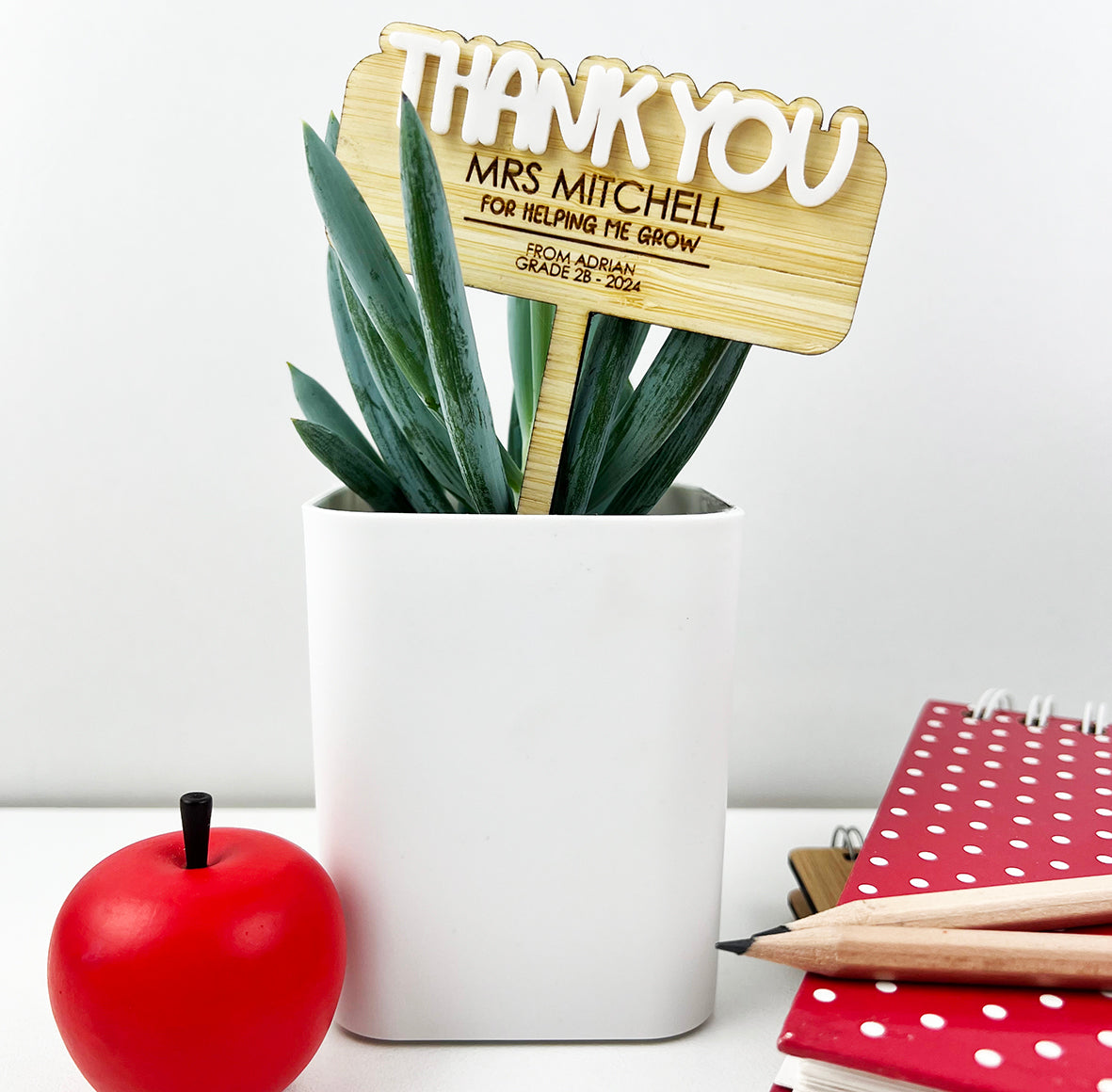 Thank You 3D Teacher Planter Stick