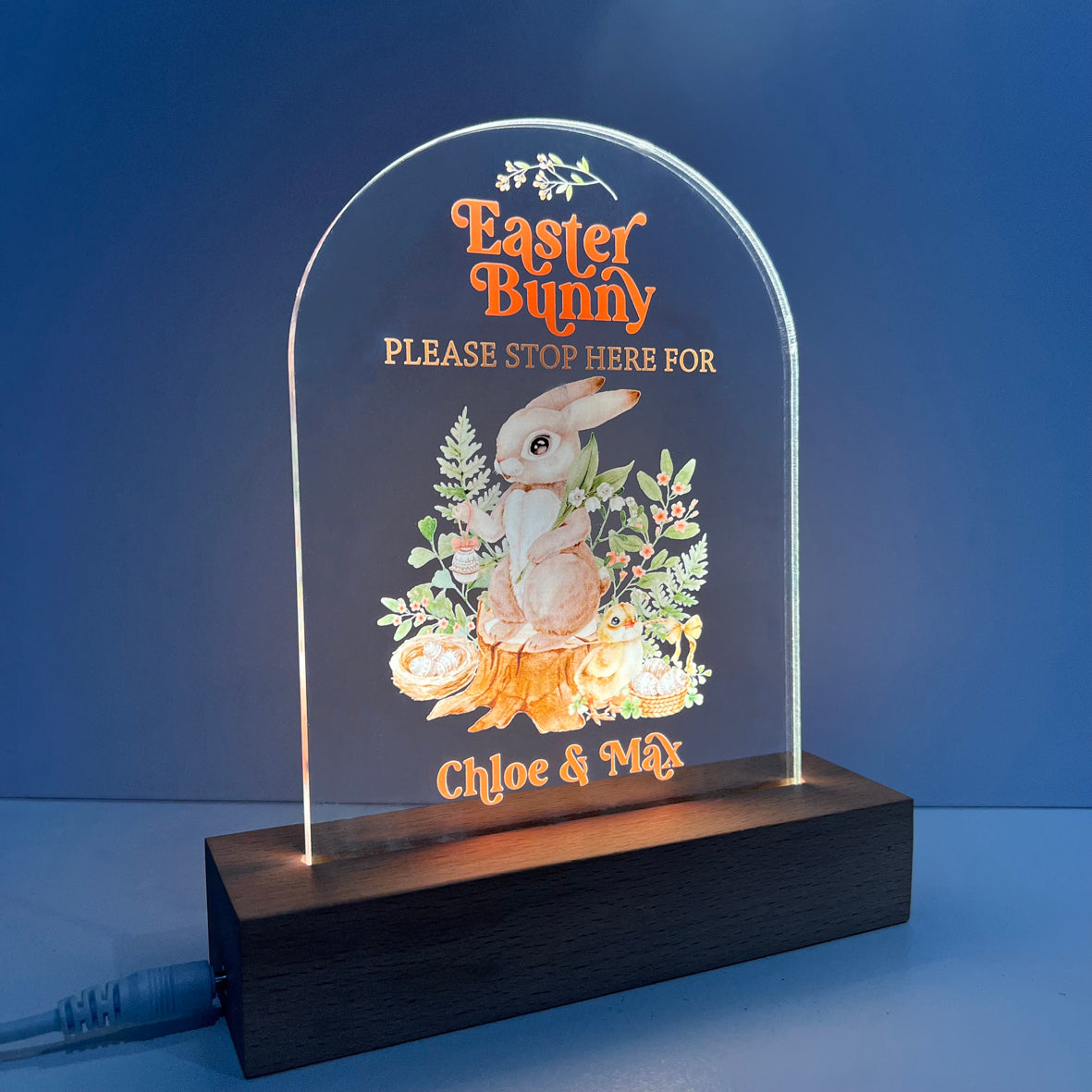 Easter Bunny Woodlands Personalised Night Light