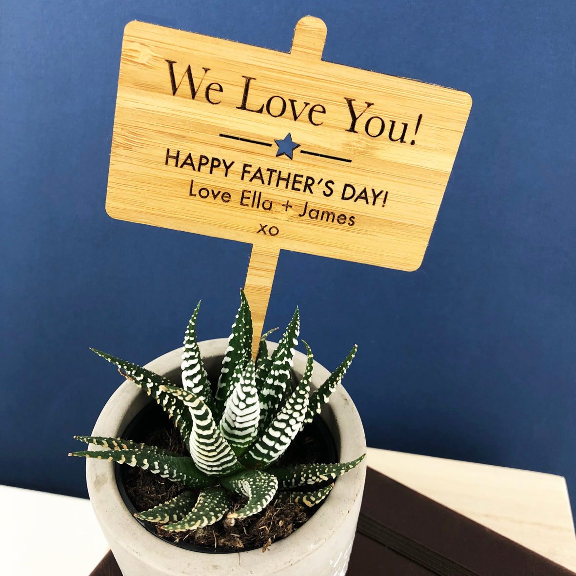 Father's Day Personalised Bamboo Planter Stick