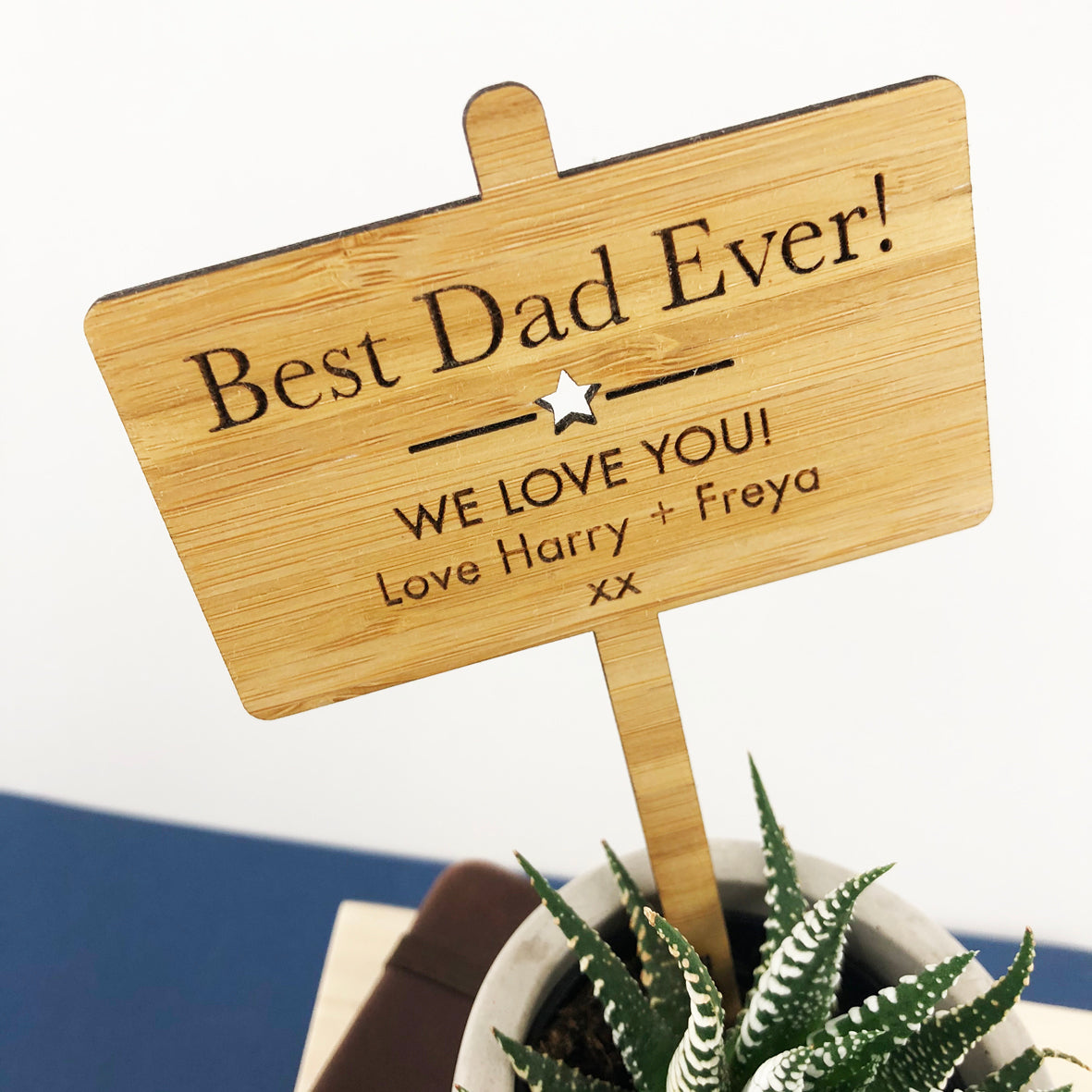 Father's Day Personalised Bamboo Planter Stick