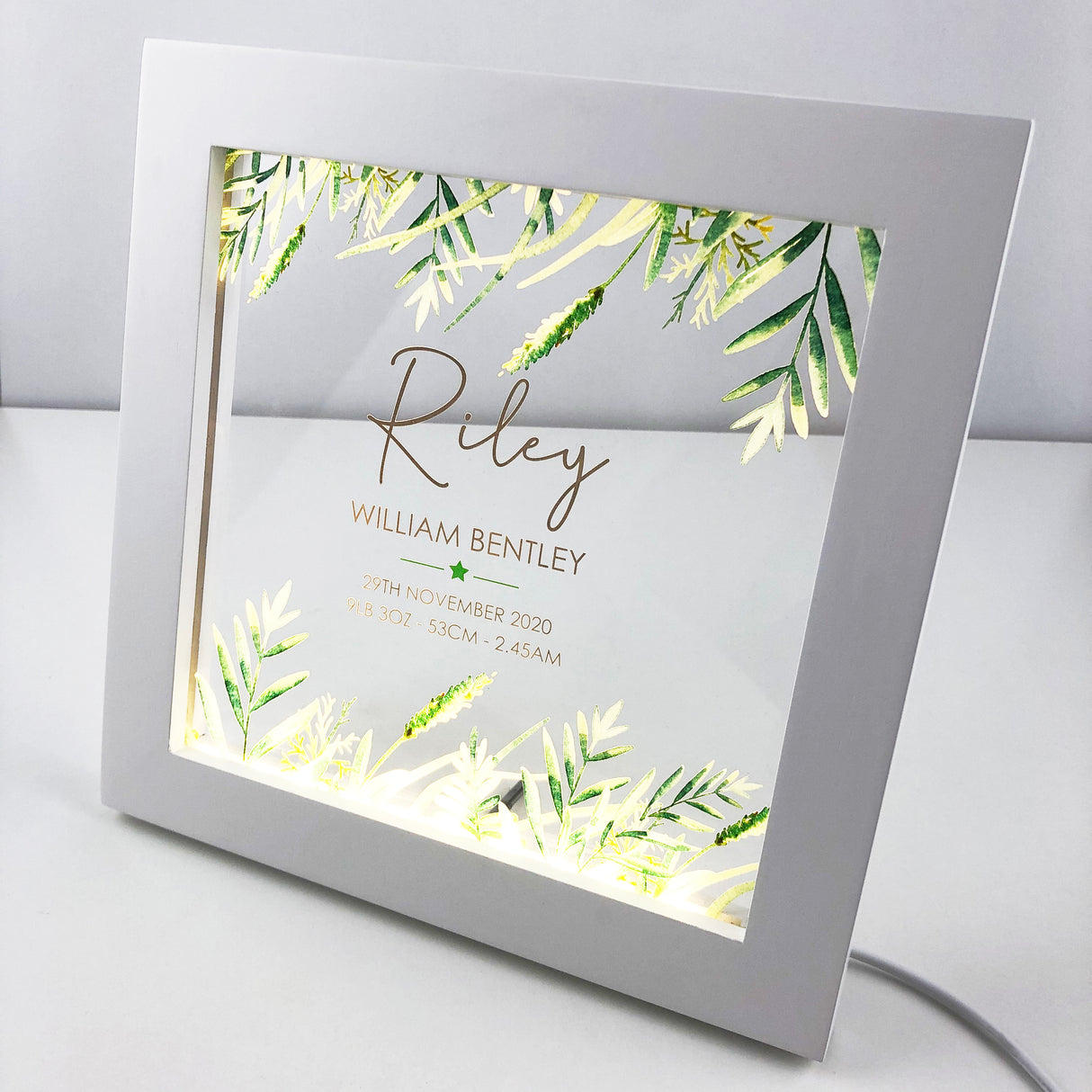 Ferns Personalised Light Frame